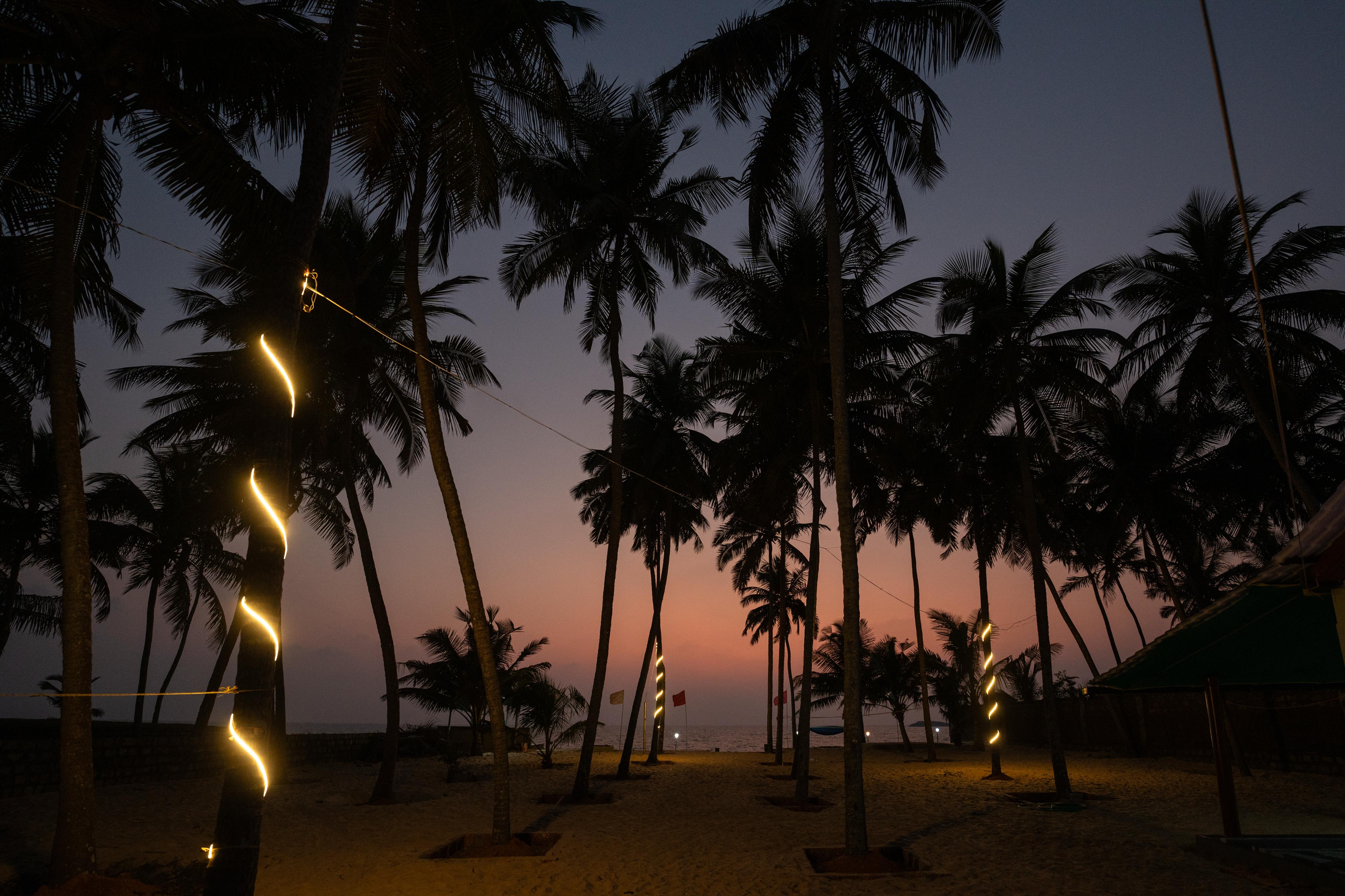 Homestay Buildings and Pathway Lit at Night